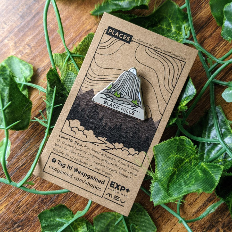 Triangle Black Hills enamel pin featuring a view from the beehive hike on a brown business card size backing card featuring the Places collection design.