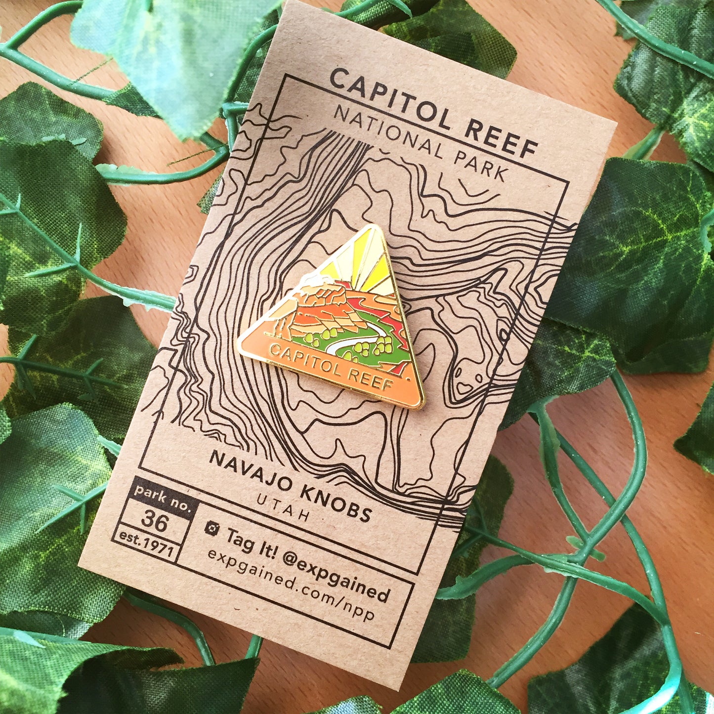 Triangle Capitol Reef national park enamel pin featuring a view from the beehive hike on a brown business card size backing card with a topo map of Navajo Knobs.