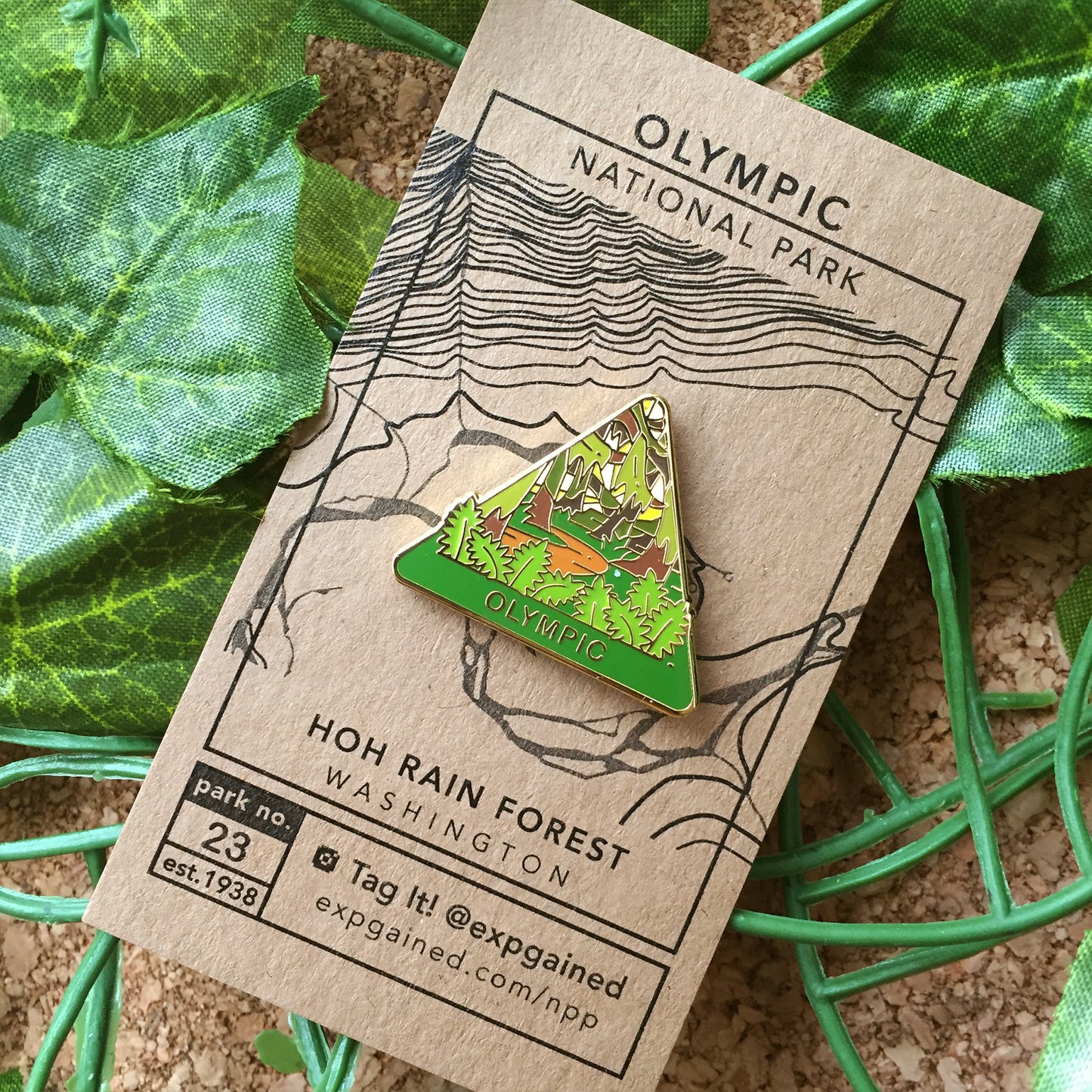 Triangle Olympic national park enamel pin featuring a view from the beehive hike on a brown business card size backing card with a topo map of Hoh Rain Forest.
