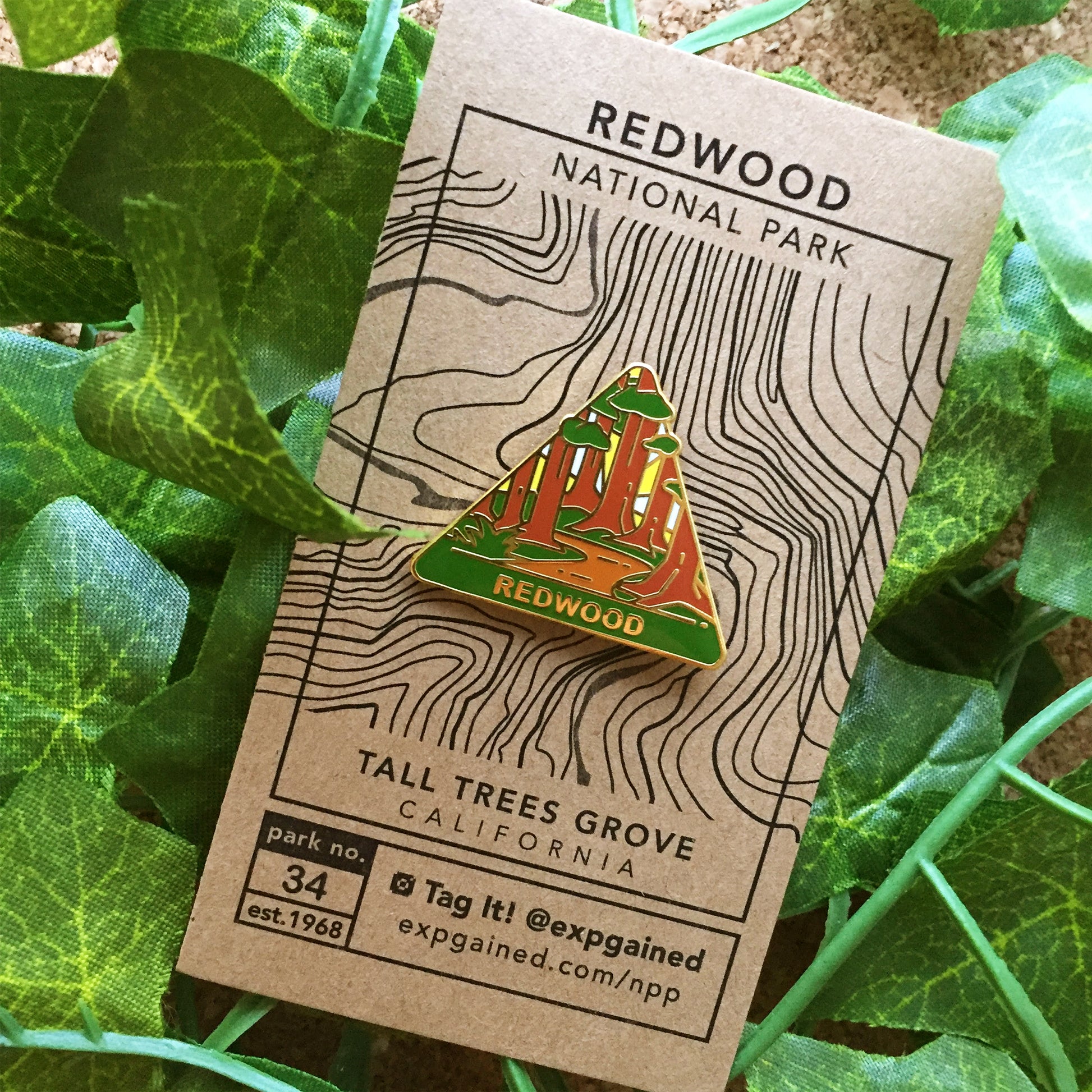 Triangle Redwood national park enamel pin featuring a view from the beehive hike on a brown business card size backing card with a topo map of the Tall Trees Grove..