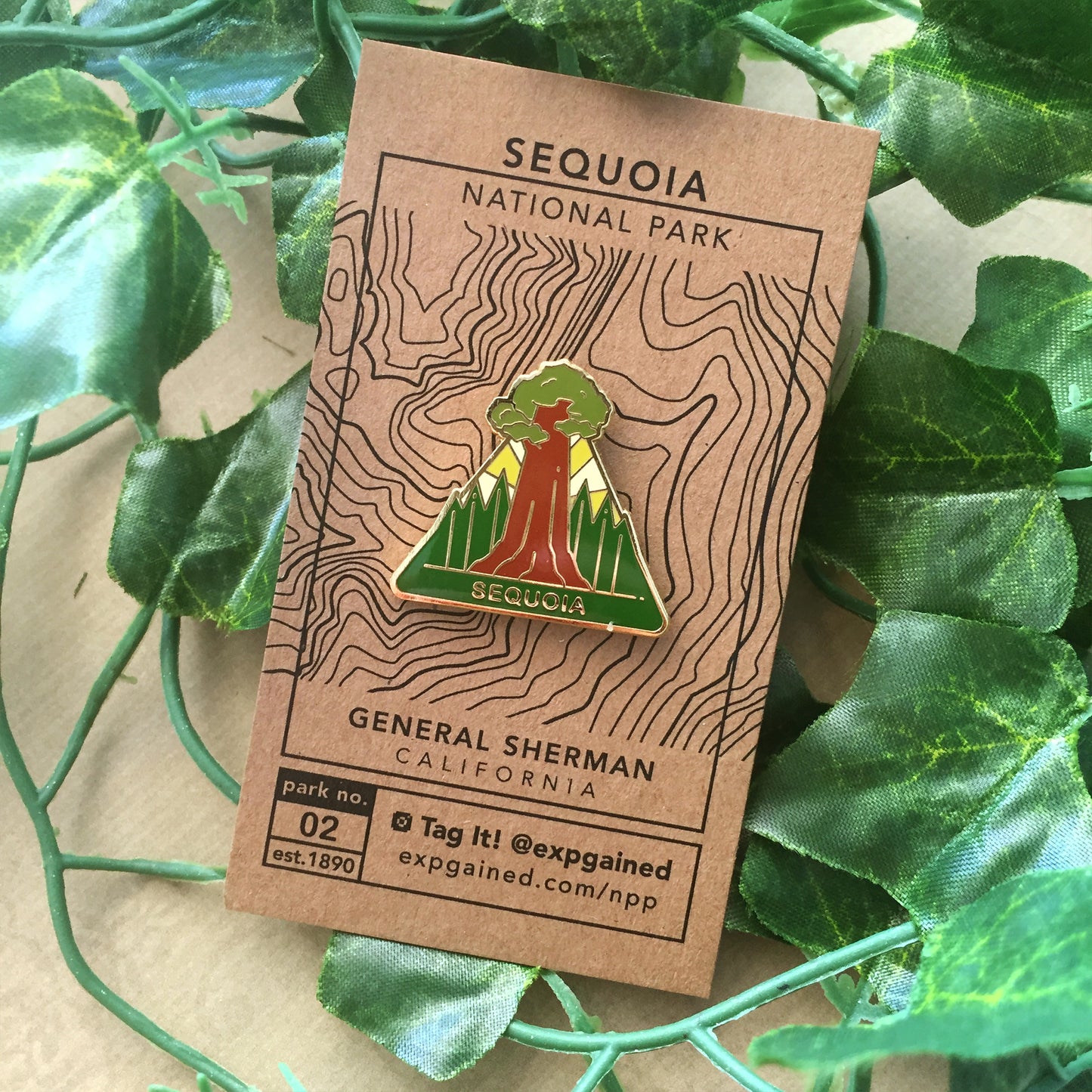 Triangle Sequoia national park enamel pin featuring a view from the beehive hike on a brown business card size backing card with a topo map of where the famous General Sherman tree is located.