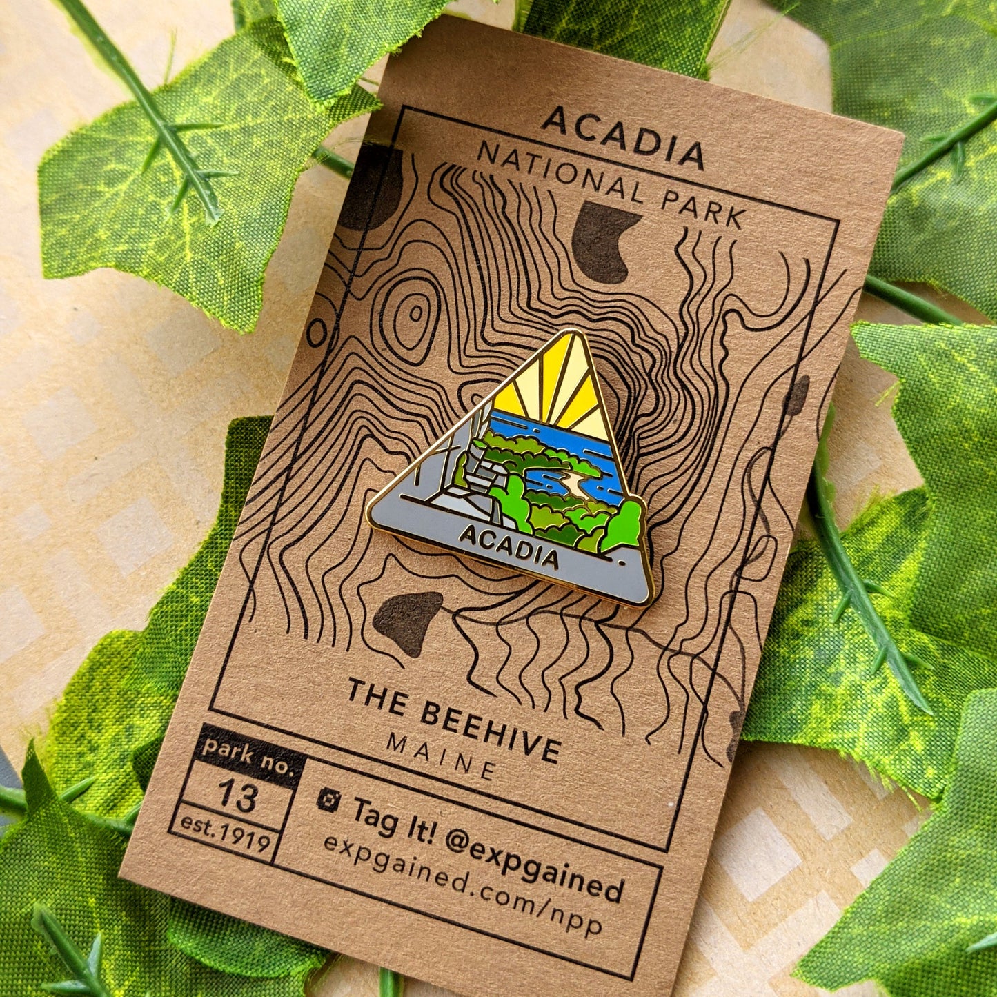Triangle Acadia national park enamel pin featuring a view from the beehive hike on a brown business card size backing card with a topo map of the Beehive.