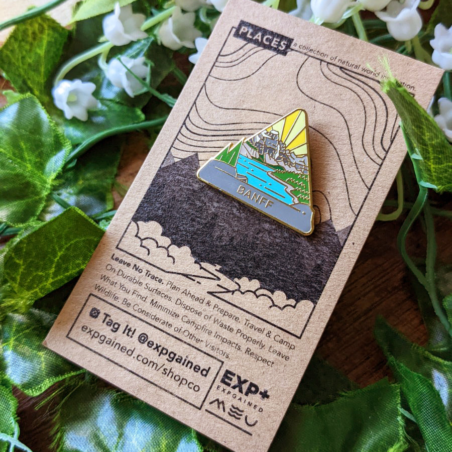 Triangle Banff national park enamel pin featuring a view from the beehive hike on a brown business card size backing card with a topo map of Moraine Lake.