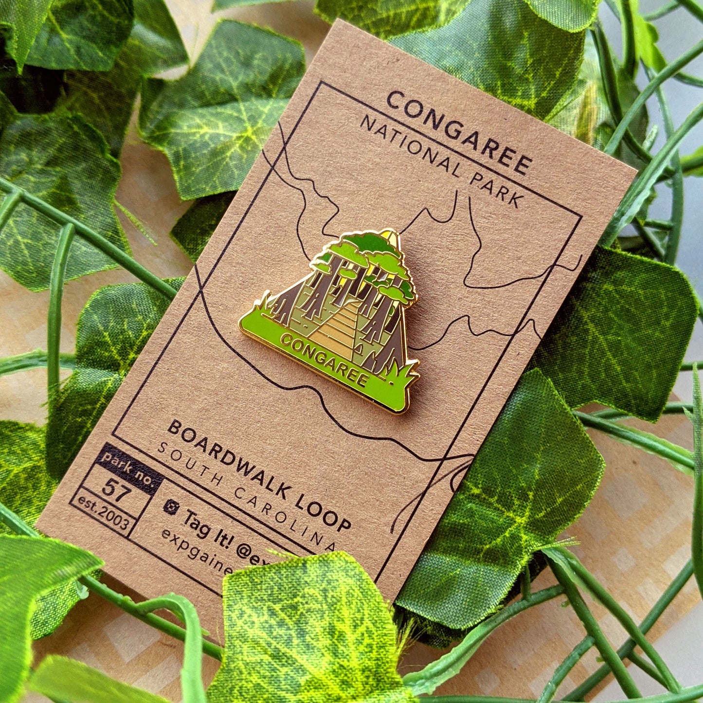 Triangle Congaree national park enamel pin featuring a view from the beehive hike on a brown business card size backing card with a topo map of the Boardwalk Loop.