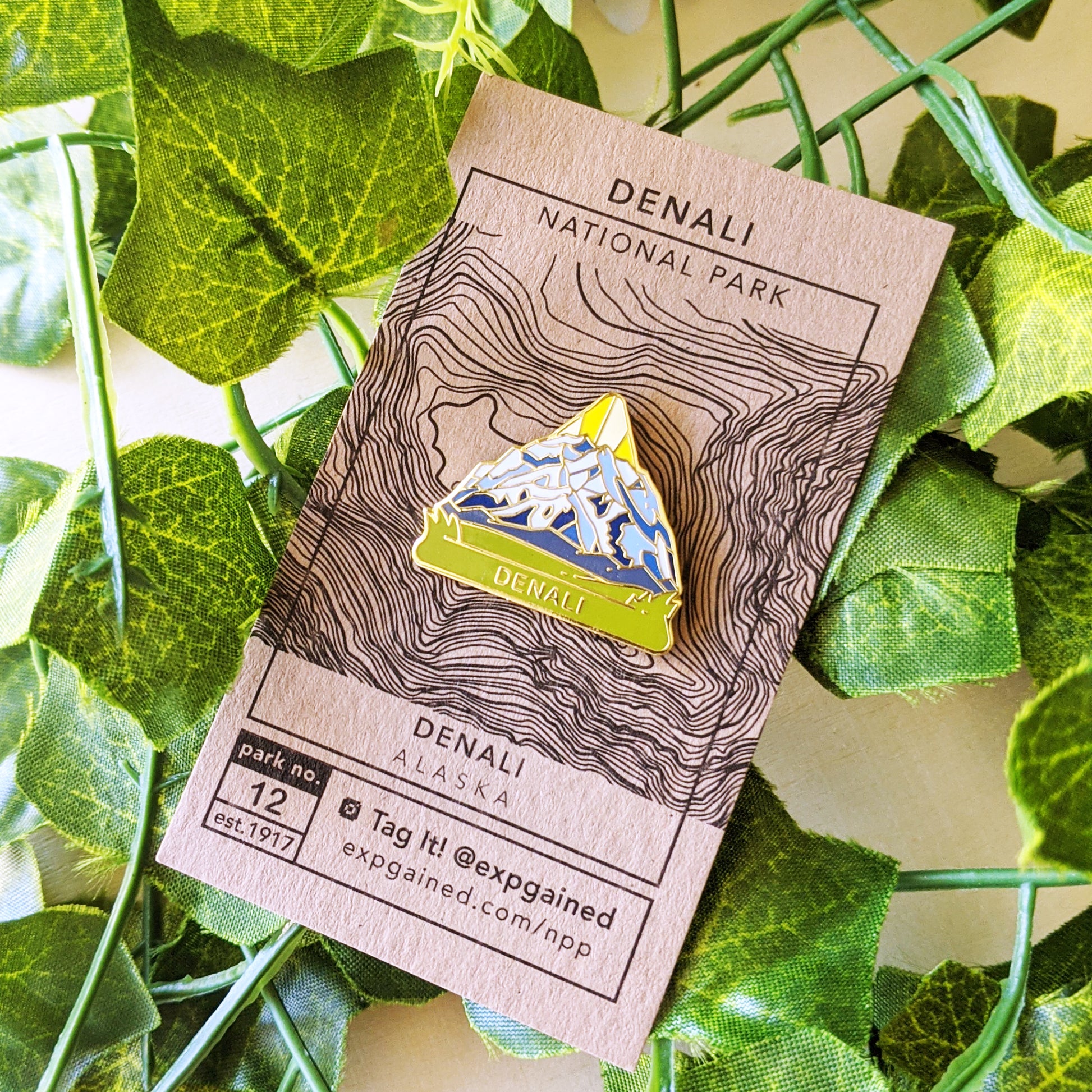 Triangle Denali national park enamel pin featuring a view from the beehive hike on a brown business card size backing card with a topo map of Denali mountain.