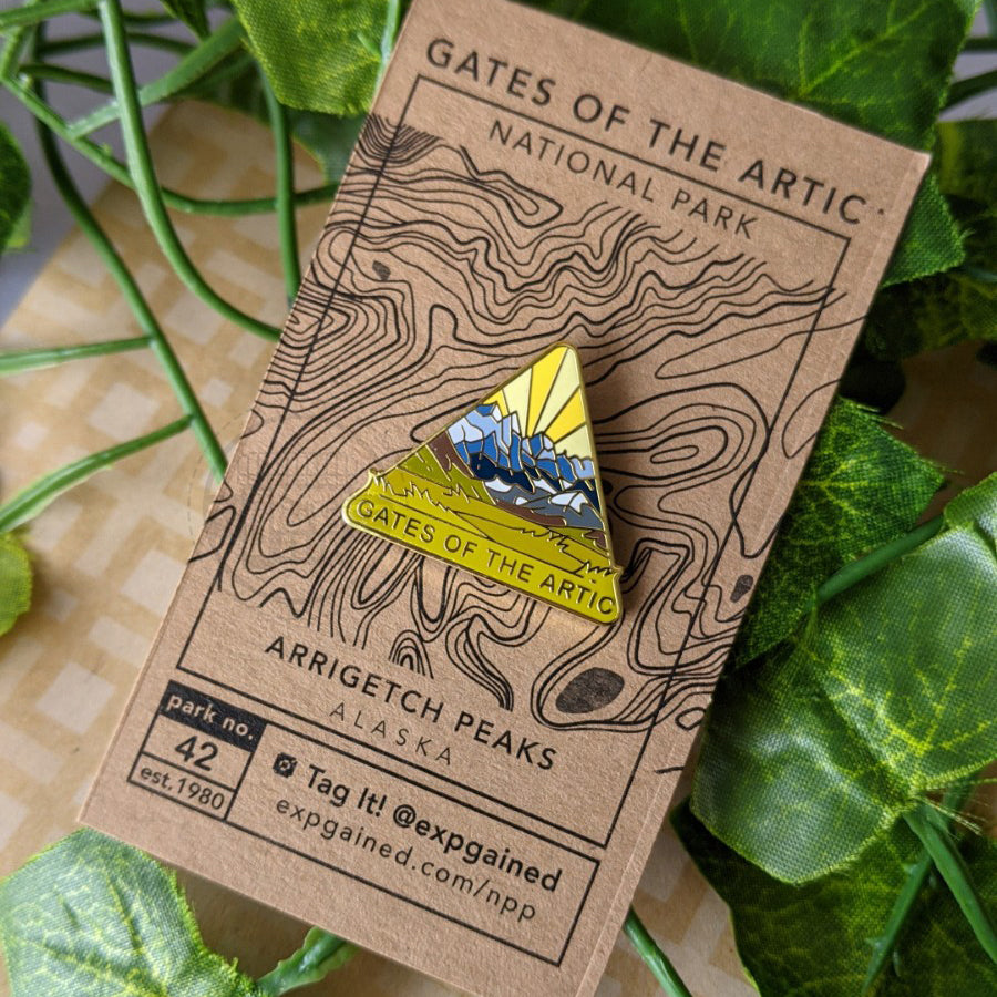 Triangle Gates of the Arctic national park enamel pin featuring a view from the beehive hike on a brown business card size backing card with a topo map of the Arrigetch Peaks.